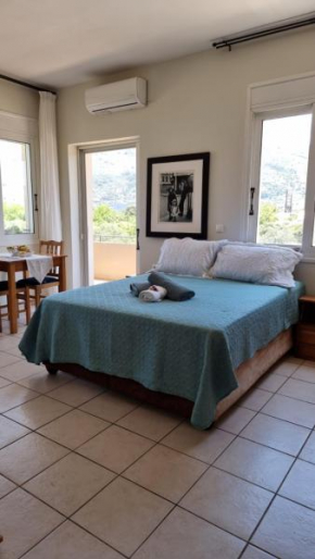 Chania Homely Apartments
